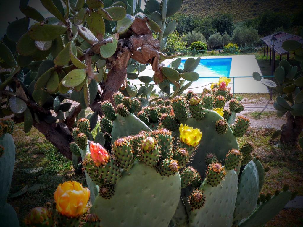 Agriturismo Timpa Del Sole Villa Noto Ngoại thất bức ảnh
