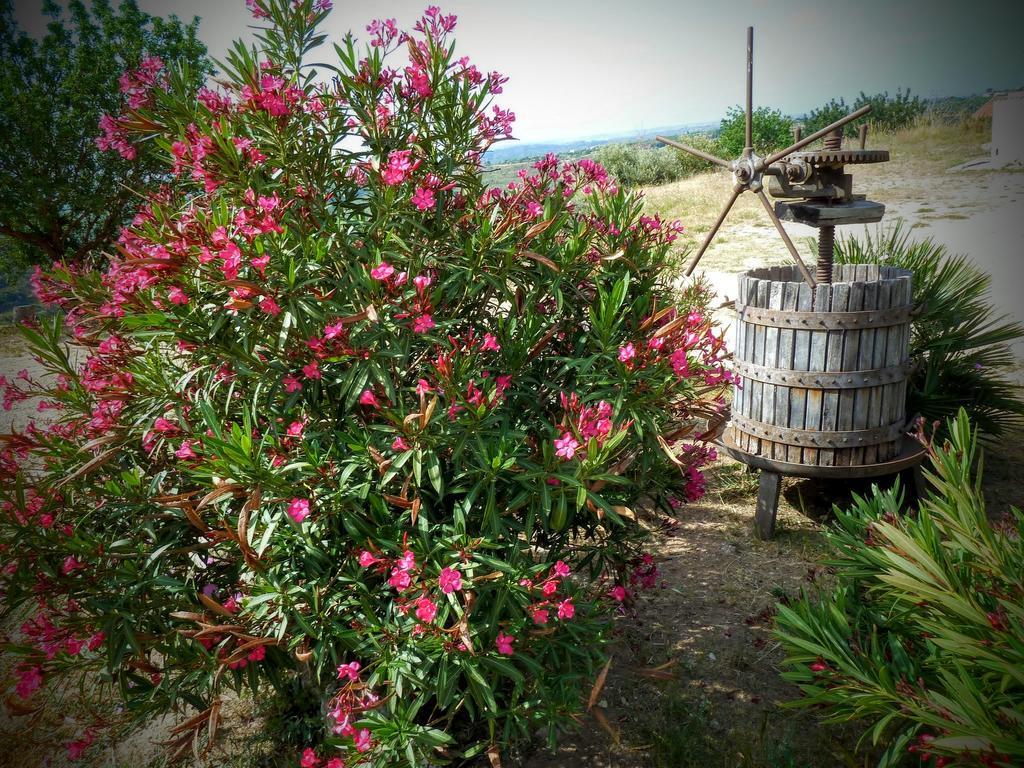Agriturismo Timpa Del Sole Villa Noto Ngoại thất bức ảnh